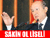 ankara dan gelen abi