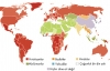 dünya tecavüz haritası