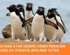 penguen olmak / #816437