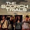 maze runner scorch trials