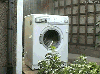 öğrenci evindeki çamaşır makinasının ruh hali / #996974