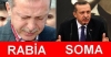 soma vs rabia / #629912