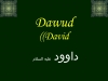 hz davud / #722580