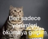 en şahane yazarlar sıralı tam liste / #971505