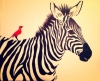 zebra / #894357