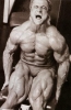 tom platz