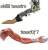 evren tesadüfen oluştu diyen saf ateist / #948203