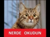 adikari bu sözlüğün tek devrimcisidir / #937490