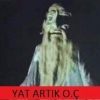 koçların taşaklarının neden bu kadar büyük olması / #866361
