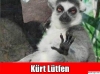 lütfen x fotosu / #803533