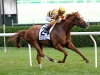 wise dan / #625232