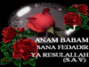 hz muhammed e ümmet olmak şereftir / #557945