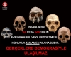 evrim teorisine inanmamak / #842181