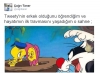 tweety adam mıdır / #986513