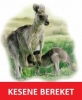 yemek sonrası anneye kesene bereket diyen kanguru / #634369