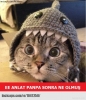 her erkek erkek kankasını arzulamıştır / #859800