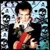 adam and the ants