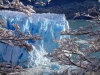 perito moreno buzulu