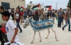 üzerine israil bayrağı çizilen eşşeğin öldürülmesi / #673582