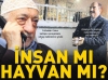 bunlar insan mı acaba hayvan mı / #722309