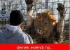 demek evlendi ha / #722020