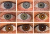 sözlük yazarlarının göz rengi