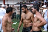 yağlı güreşçi türk erkekleri