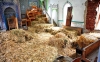 akp döneminde samanlık yapılan camiler