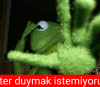 kermit li kukla esprilerinin bayması / #875227