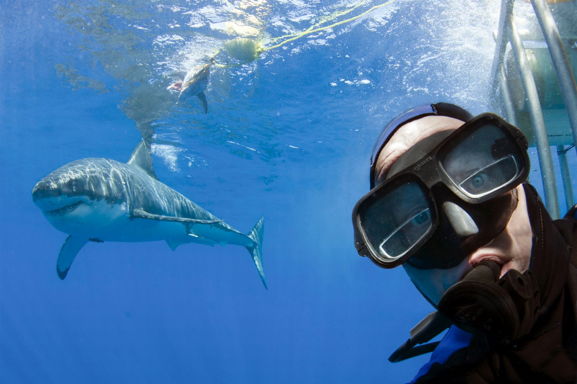 Селфи с акулой под водой
