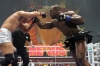 melvin manhoef / #531133