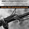 allah sabredenlerle beraberdir / #552962