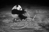 fuck the world i am a panda / #604957