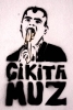 cikita muz teoremi