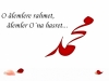 o alemlere rahmet alemler o na hasret / #550958