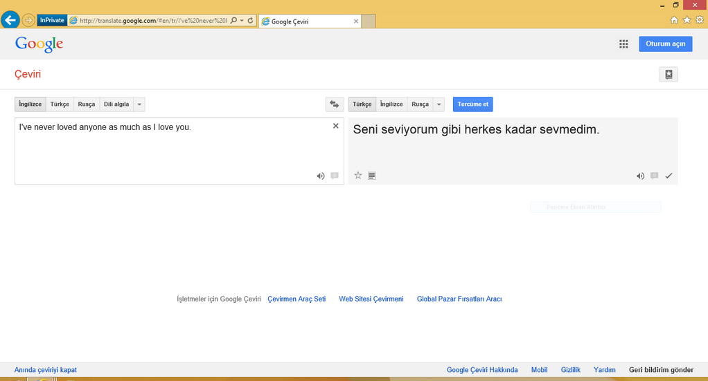 Гугол переводчик с руского на турецкий