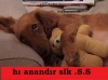 nihat kahveci yi hiç kahve satarken görmemek / #705386