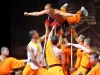 shaolin / #742809