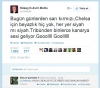 vali mutlu / #591338