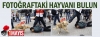 1 mayıs 2015 işçi bayramından göz yaşartan kareler / #767588