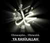 olmasaydın olmazdık ya rasulallah / #571238