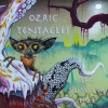 ozric tentacles / #616350