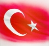 ben bu yazıyı ilk türk e yazdım / #532475