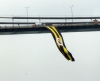 boğaziçi köprüsü ne fenerbahçe bayrağı asmak / #627924
