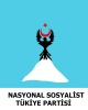 nasyonal sosyalist türkiye partisi