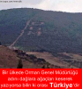 ogm / #694030