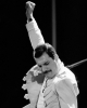 freddie mercury