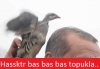 tayyip in keklik konarkenki gülen fotoğrafı / #813492