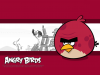 angry birds teki büyük kırmızı kuş