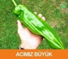 acı biberle mastürbasyon yapan kadın / #937002